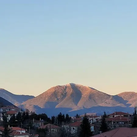 게스트하우스 Xenonas Epavli Levídhion