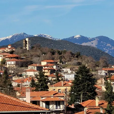 게스트하우스 Xenonas Epavli Levídhion