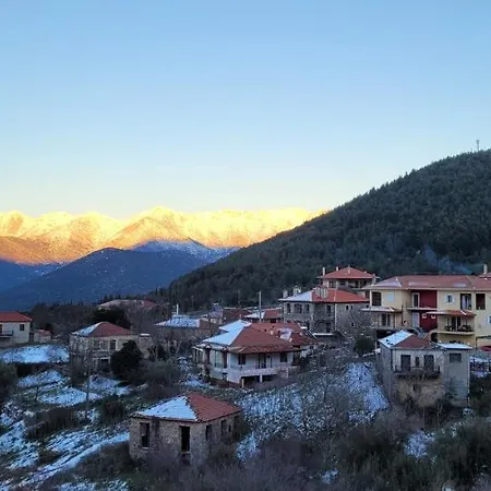 Xenonas Epavli Levídhion