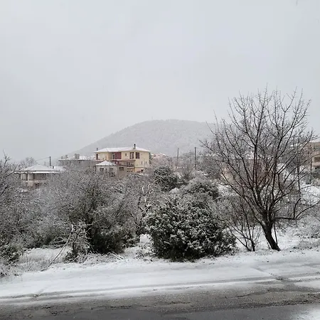 Xenonas Epavli Guest house Levidhion