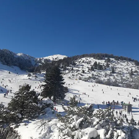 Xenonas Epavli 게스트하우스 Levídhion