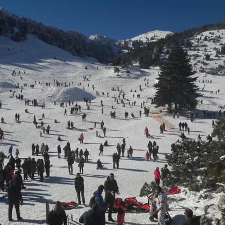 게스트하우스 Xenonas Epavli Levídhion