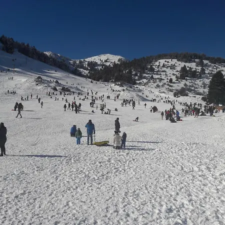 Xenonas Epavli 3* Levídhion