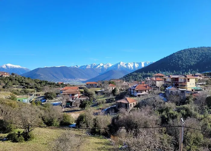 Xenonas Epavli