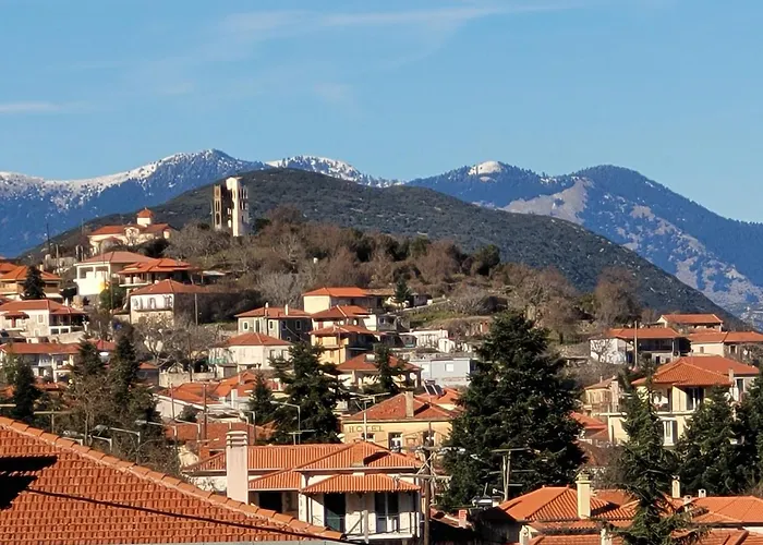 招待所 Xenonas Epavli Levídhion