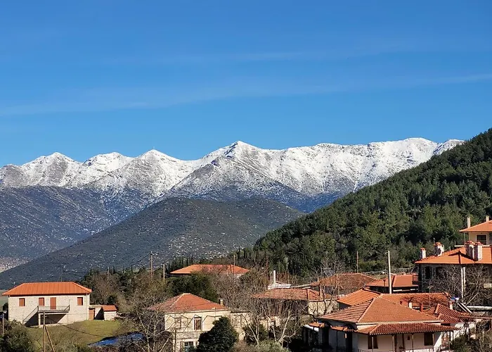 Xenonas Epavli 3* Levídhion