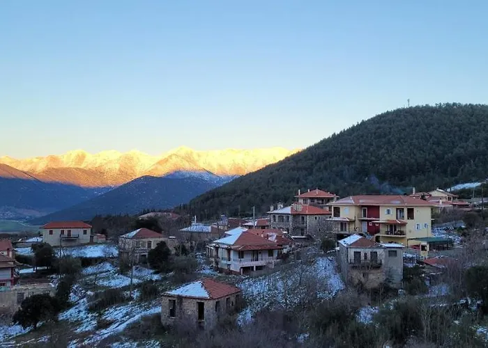 Xenonas Epavli Levídhion