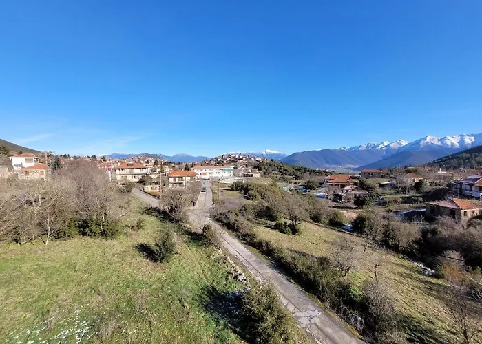 Xenonas Epavli Гостевой дом Левидхион