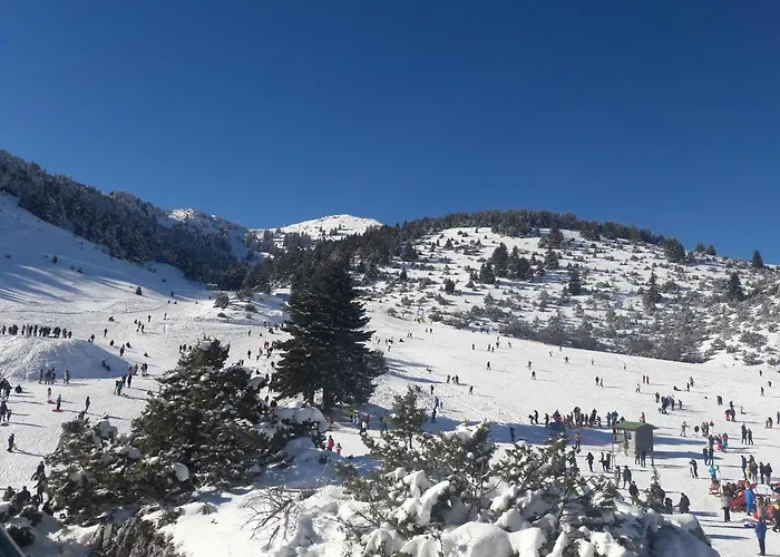 Xenonas Epavli Konukevi Levídhion