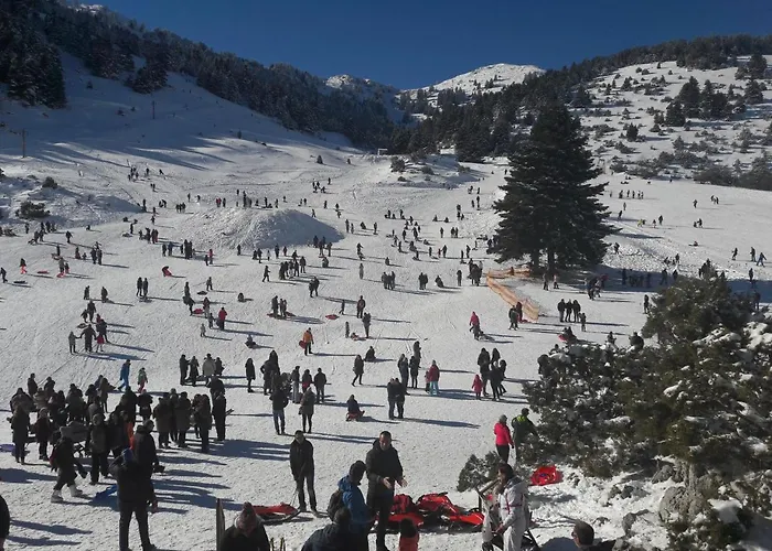 Konukevi Xenonas Epavli Levídhion