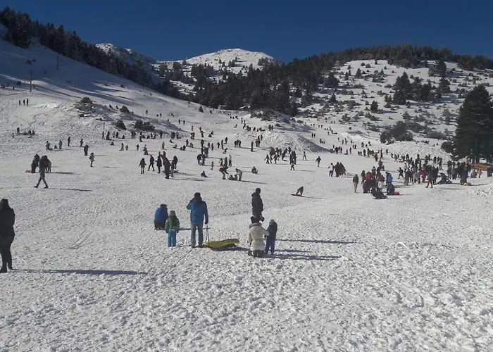 Xenonas Epavli 3* Levídhion